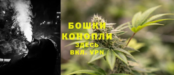 тгк Армянск
