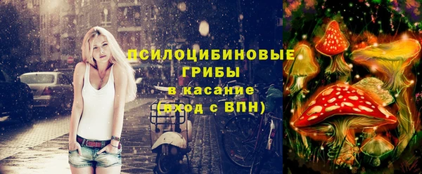тгк Армянск