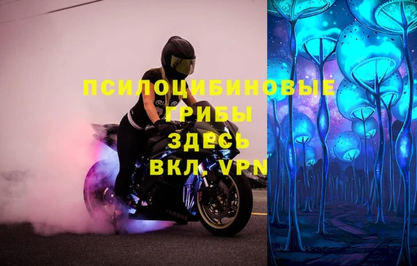 эйфоретик Аркадак
