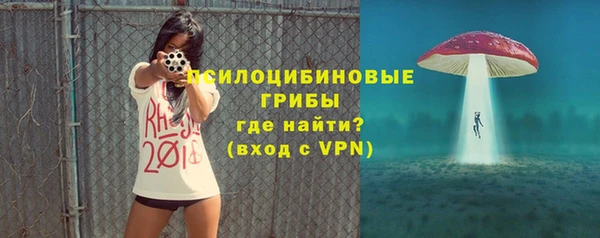 эйфоретик Аркадак