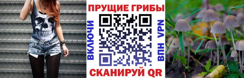 Галлюциногенные грибы прущие грибы  Новомосковск 
